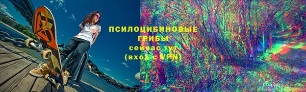 ПСИЛОЦИБИНОВЫЕ ГРИБЫ Богданович